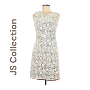 ✨Nordstrom JS Collection Gorgeous sleeveless lace dress with nude lining. Size 4